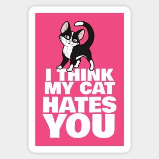 I Think My Cat Hates You Sticker